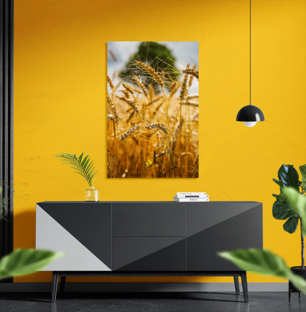 Fields of Gold - Image 2
